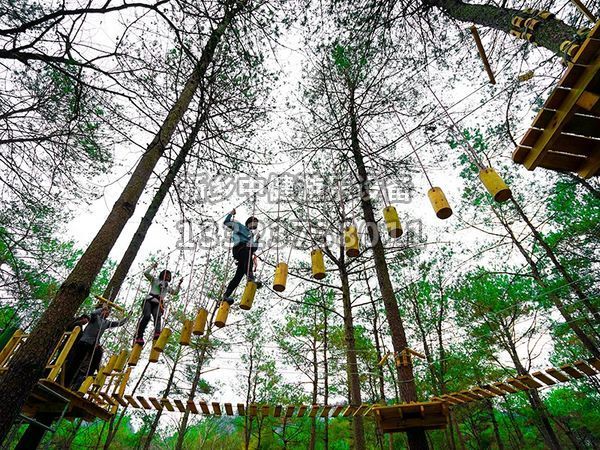 叢林穿越設備的搭建對環(huán)境有影響嗎？